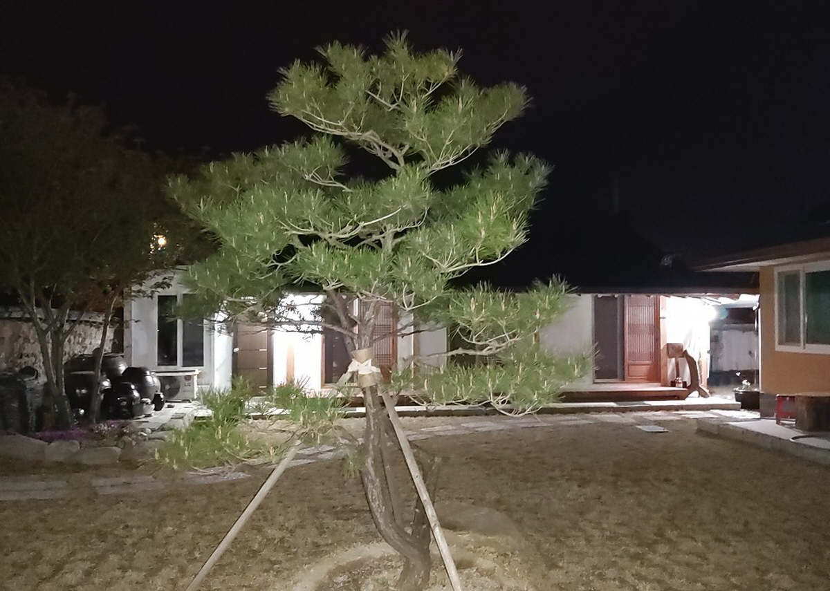 경주 한옥 민박 그린&힐링 아래채(민박) 