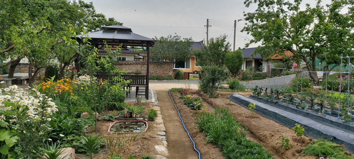 경주한옥민박 그린&힐링 외부 전경사진