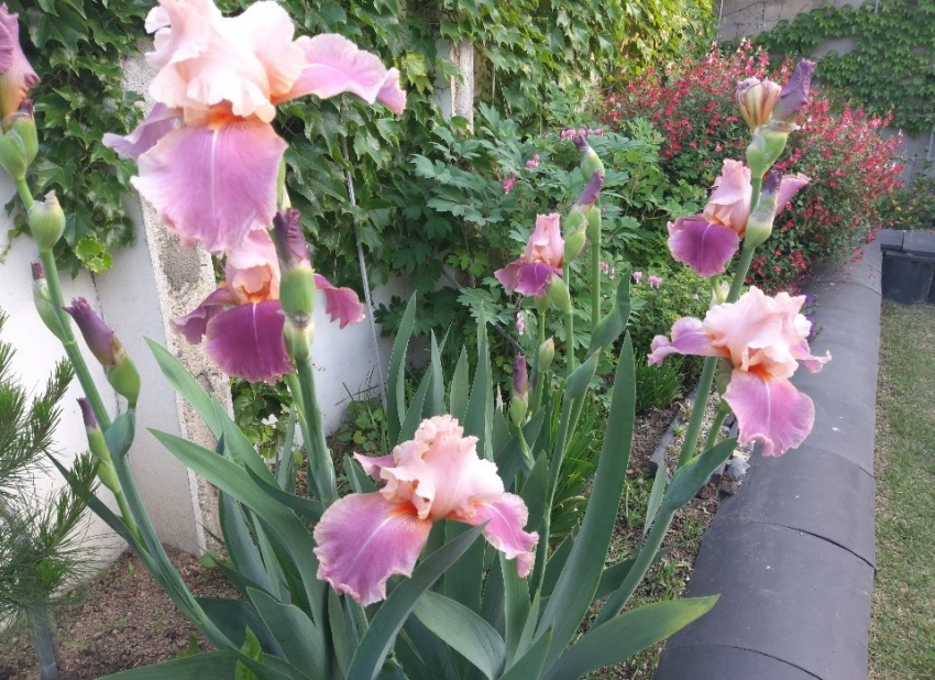 경주한옥민박 그린&힐링 외부 전경사진