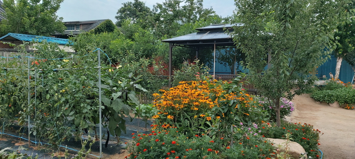 경주한옥민박 그린&힐링 외부 밭과 화단 힐링쉼터 사진