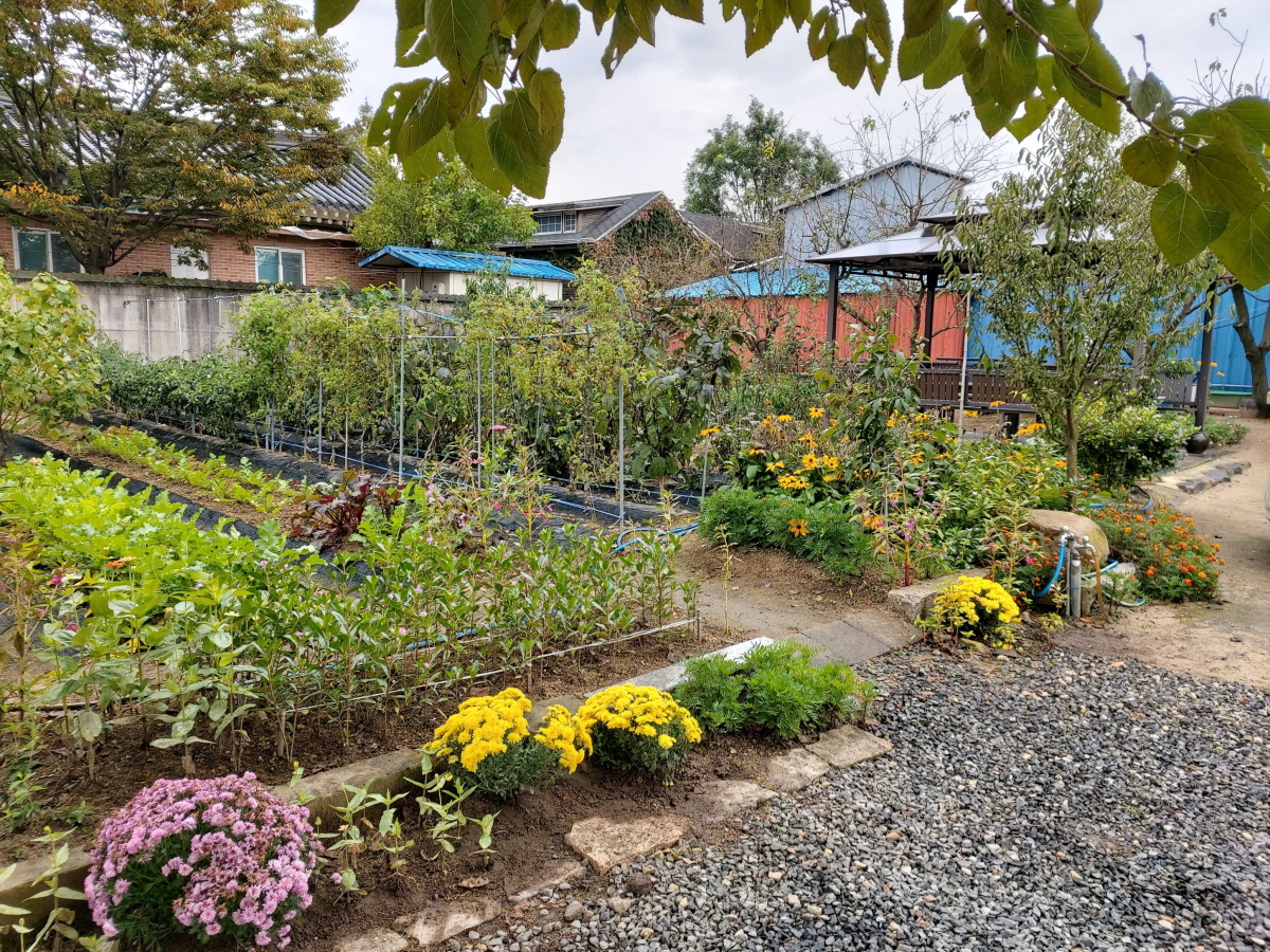 경주한옥민박 그린&힐링 외부 밭과 화단 힐링쉼터 사진