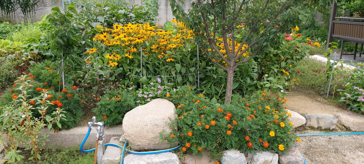 경주한옥민박 그린&힐링 외부 밭과 화단 힐링쉼터 사진