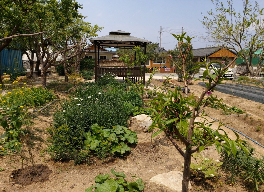 경주한옥민박 그린&힐링 외부 전경사진