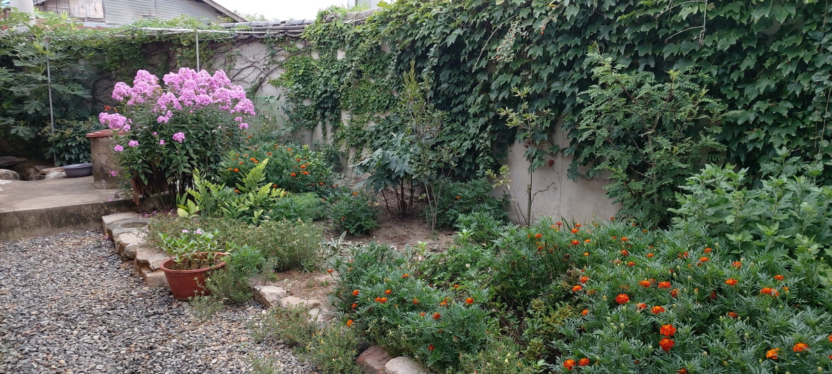 경주한옥민박 그린&힐링 외부 우물가화단