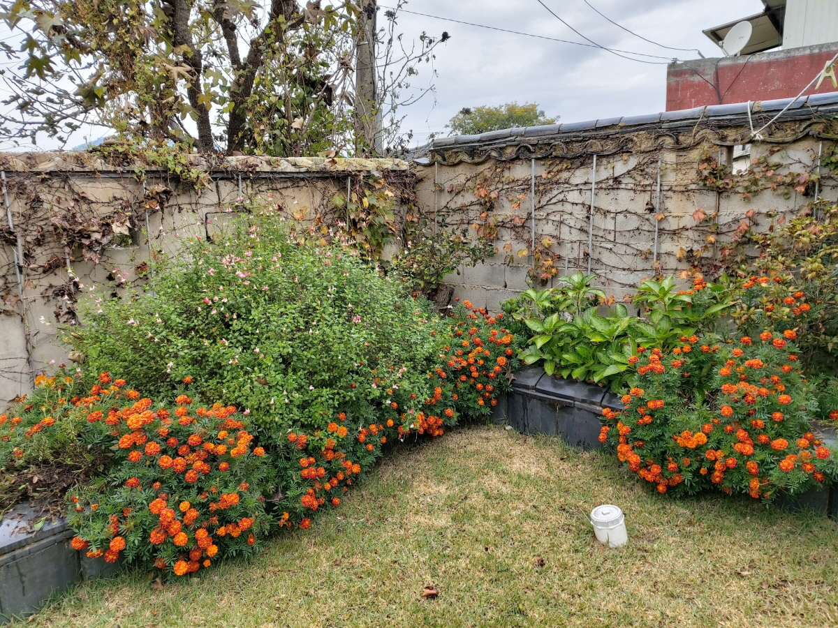 경주한옥민박 그린&힐링 외부 전경사진