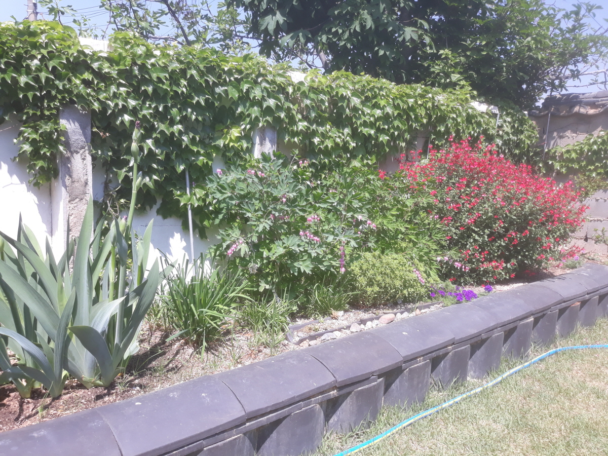 경주한옥민박 그린&힐링 외부 전경사진