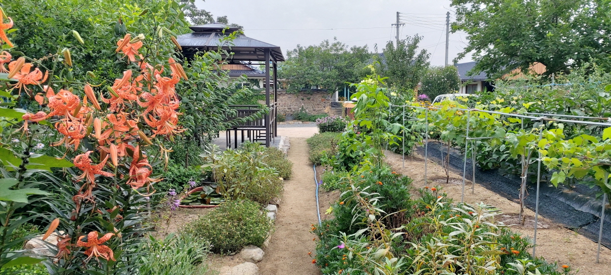 경주한옥민박 그린&힐링 외부 밭과 화단 힐링쉼터 사진