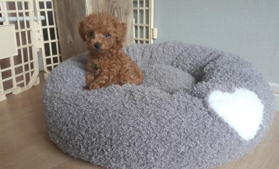 그린&힐링 마스코트 사랑이