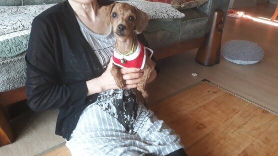 마스코트 사랑이가 처음으로 변신을 했습니다